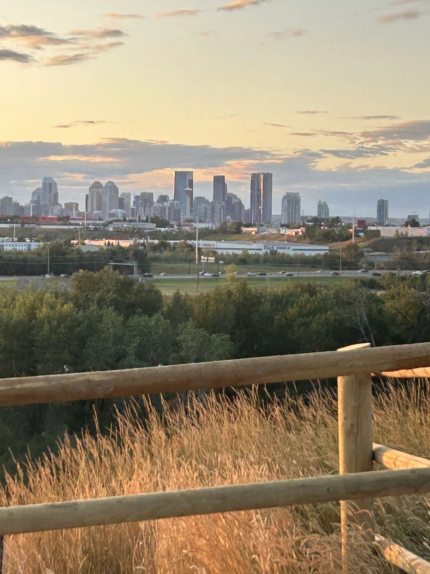 The Calgary, Alberta skyline against a blue sky